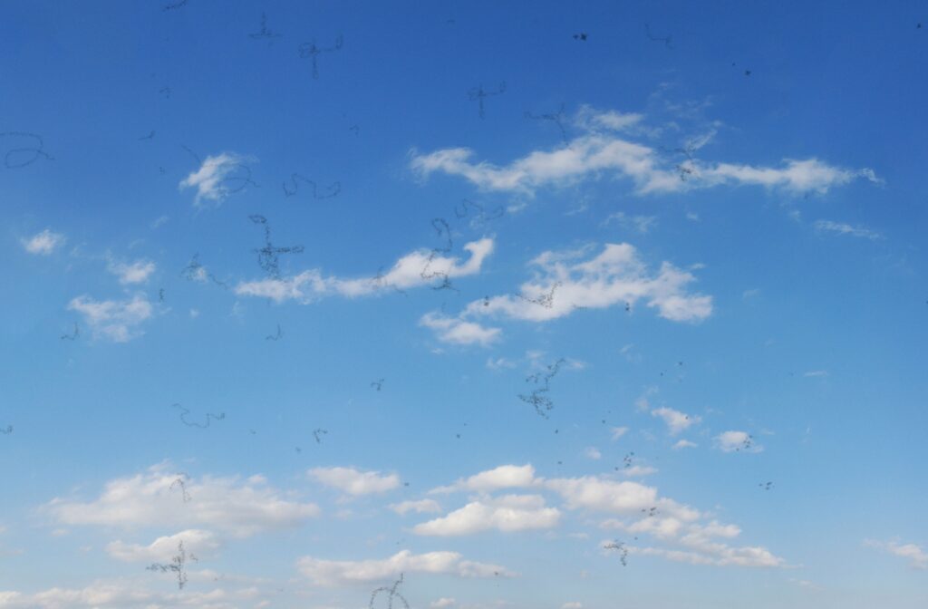 An image of a cloudy sky with scattered eye floaters obscuring parts of the image.